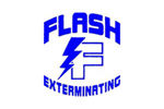 Flash